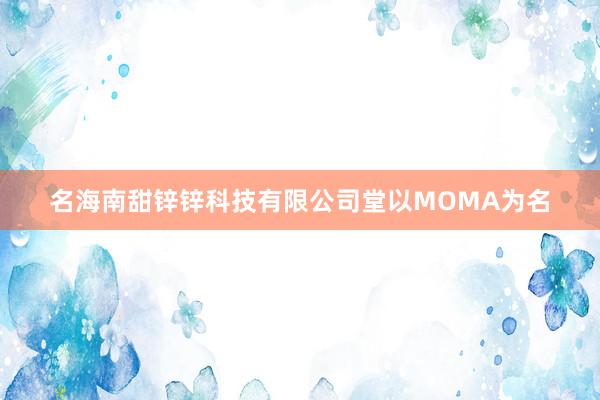 名海南甜锌锌科技有限公司堂以MOMA为名