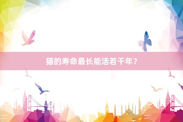 猫的寿命最长能活若干年？