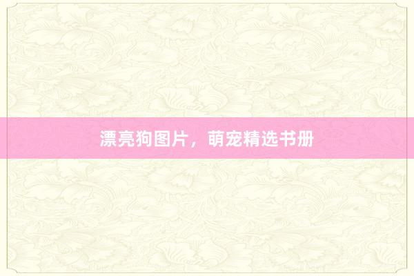 漂亮狗图片，萌宠精选书册